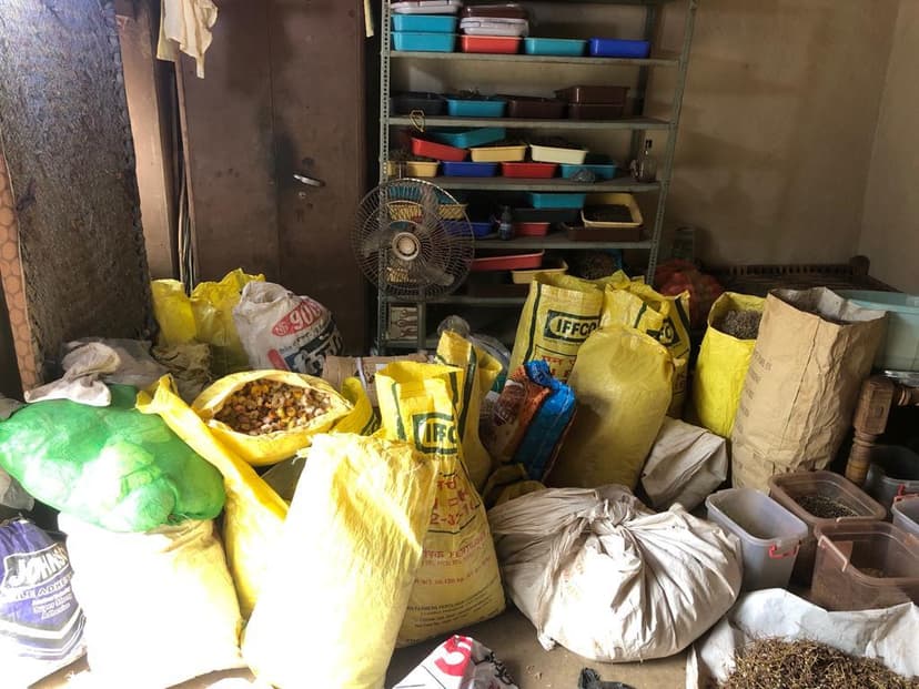 Seed storage and sorting for floral saplings program