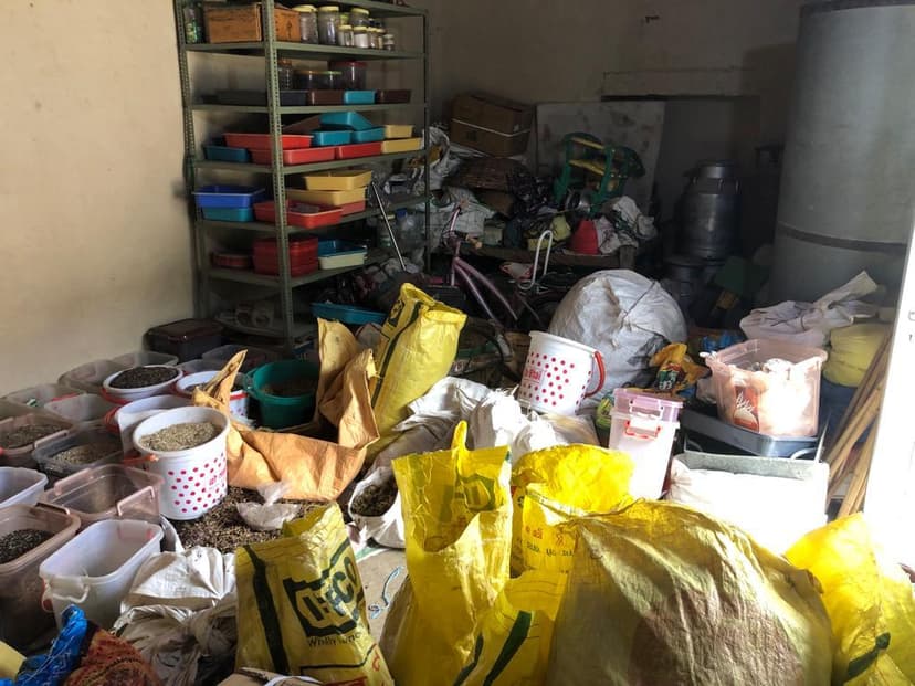 Seed storage and sorting for floral saplings program